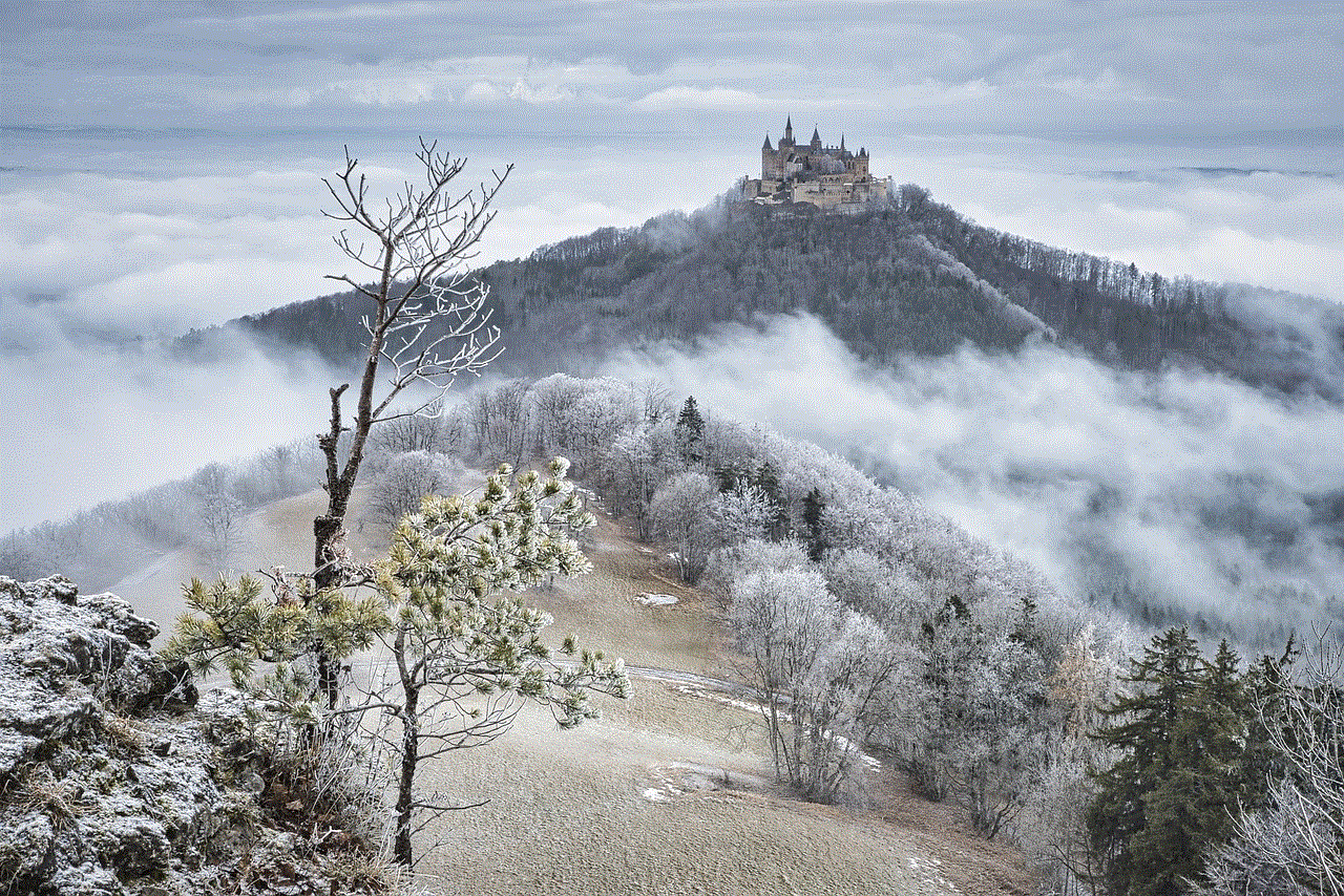 Castle Hoarfrost