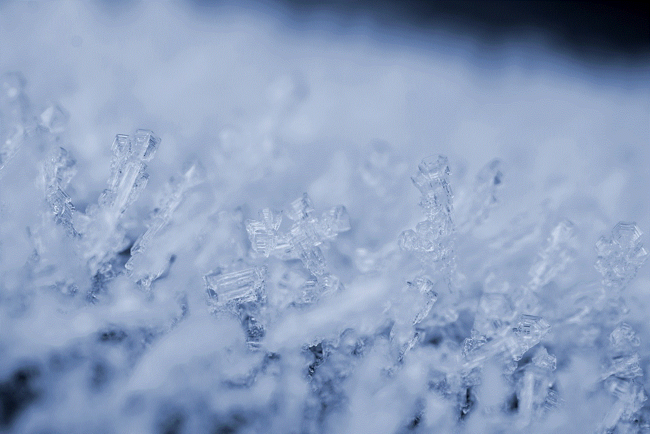 Ice Crystals Ice Crystals