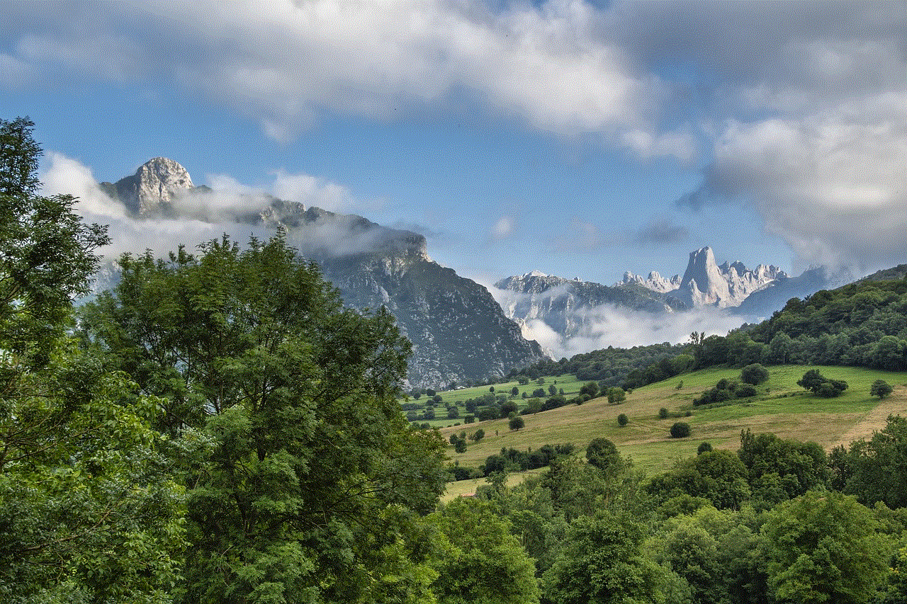 Mountains Trees