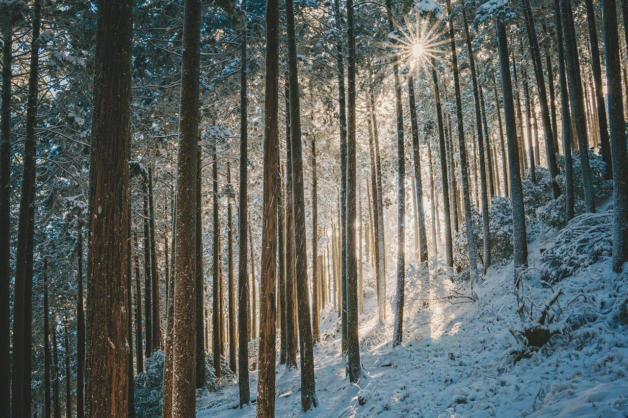 Landscape Winter Landscape Winter