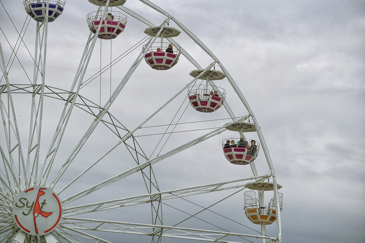 Ferris Wheel Amusement Park Ride
