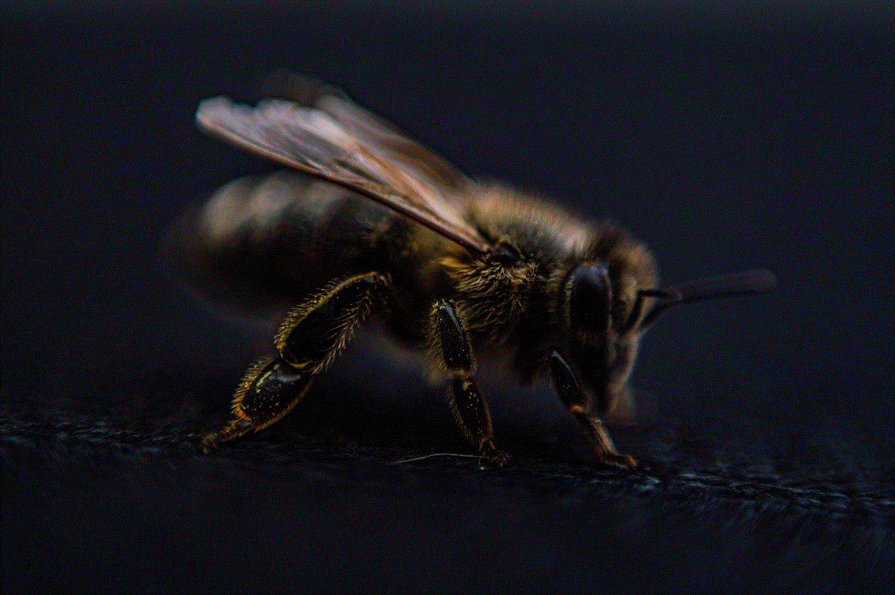Bee Wings