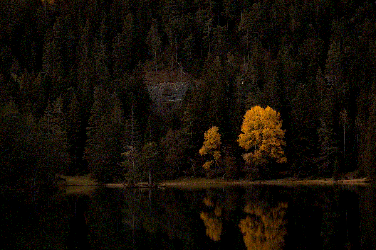 Forest Lake