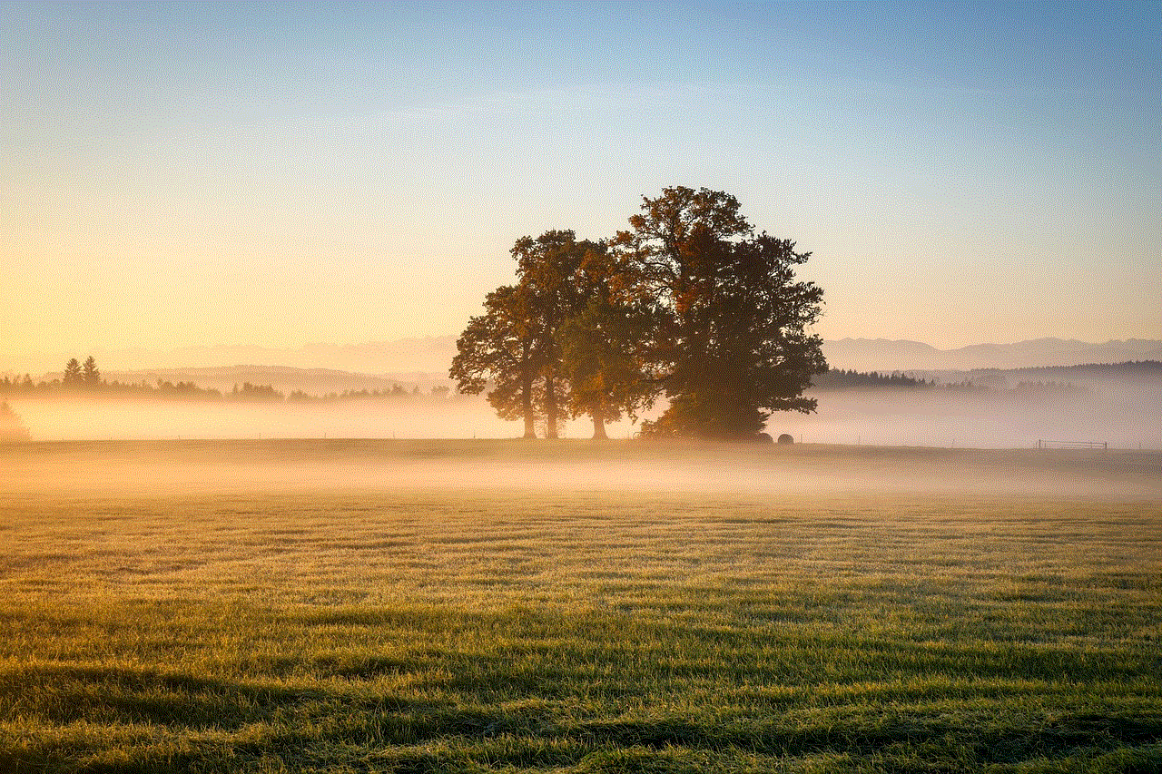 Trees Nature