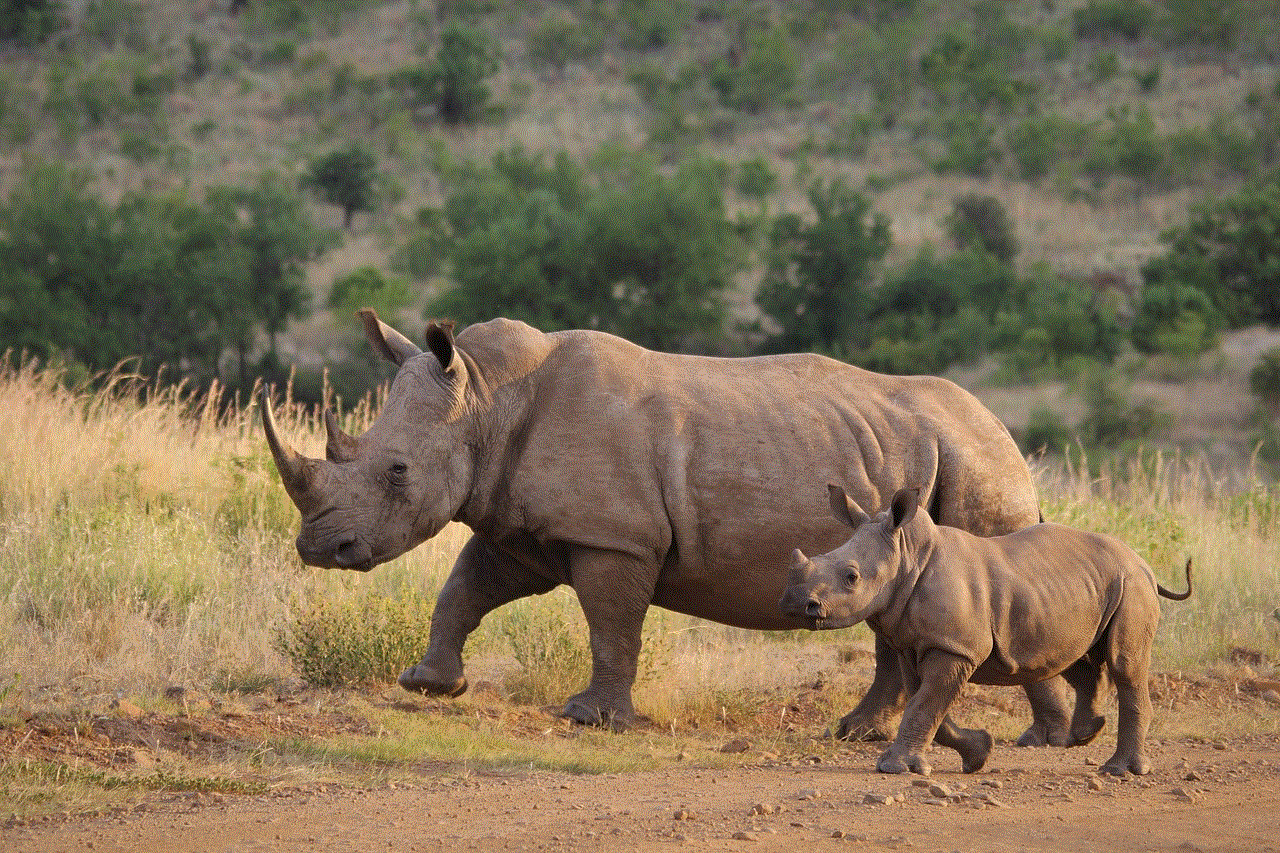 Rhinoceros Rhinos