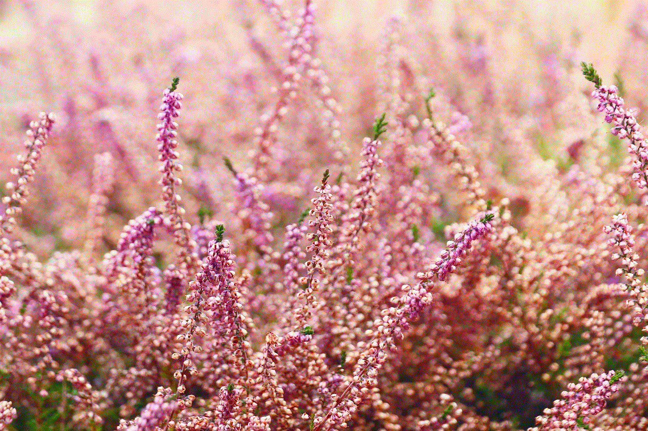 Flowers Heather