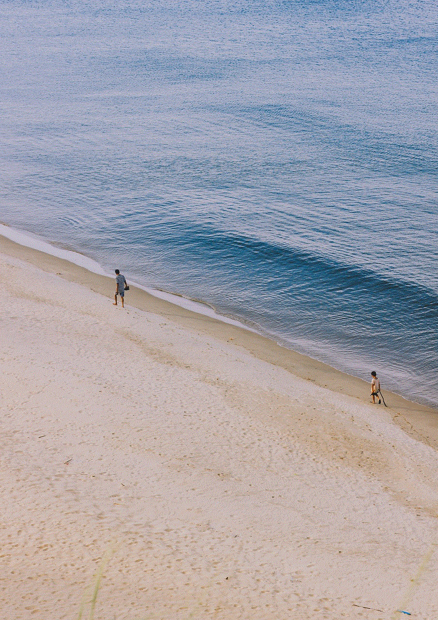 Beach Nature