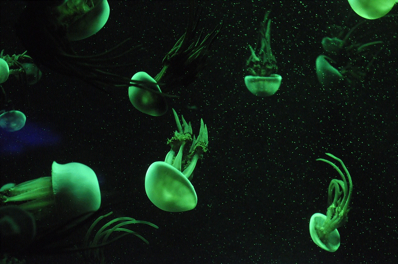 Jellyfish Aquatic Creatures