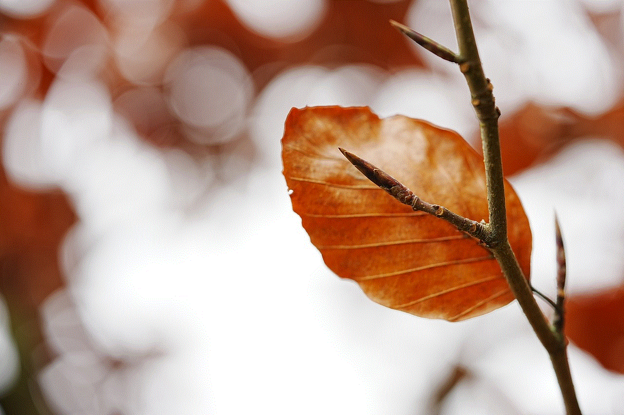 Leaves Autumn