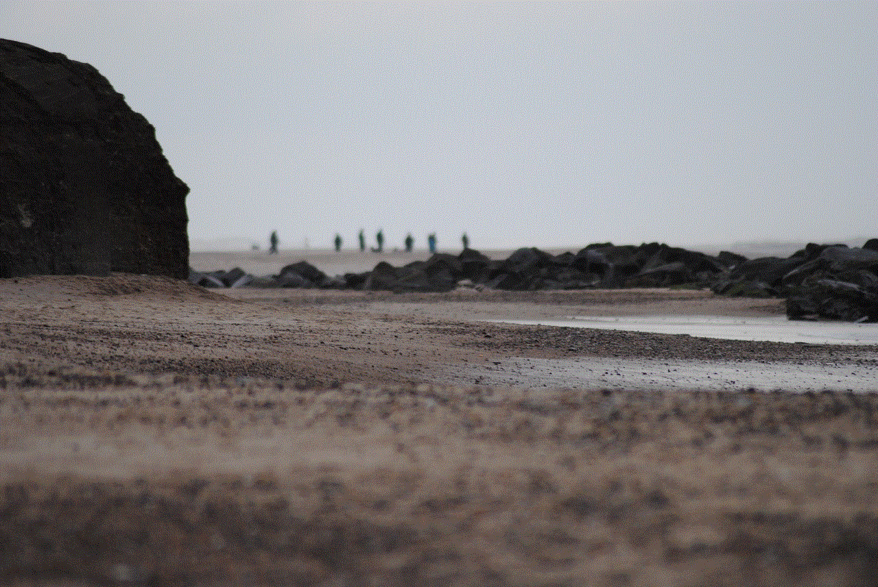 Beach Nature Beach Nature