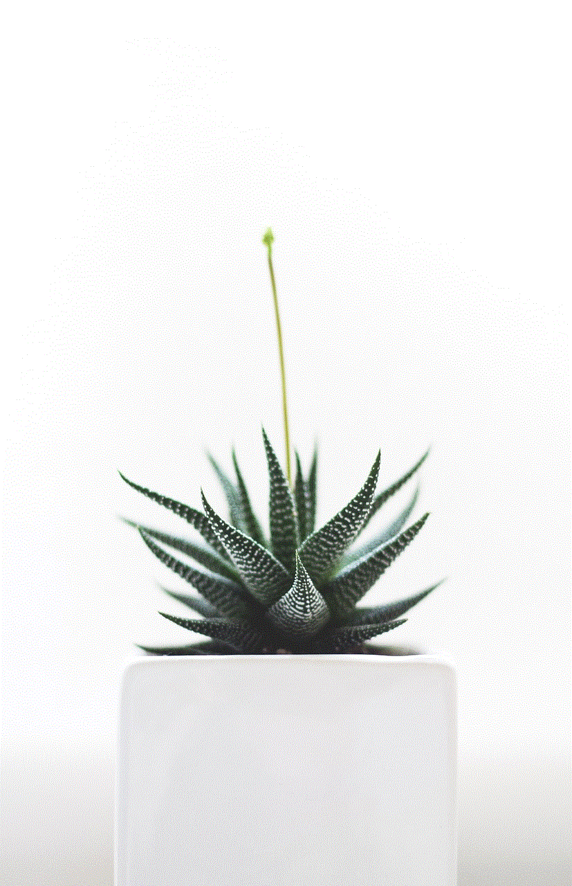 Plant Succulent