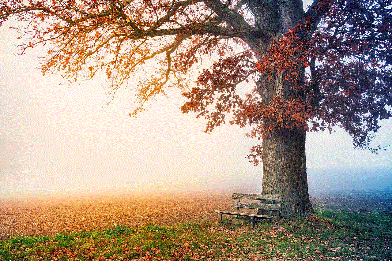 Tree Park Bench