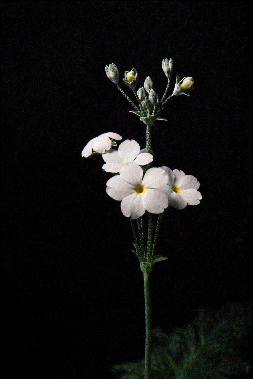 White Flowers Flowers