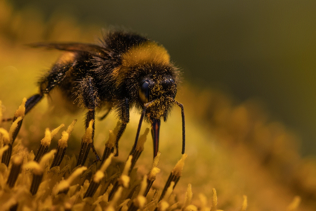 Bee Beautiful Flowers