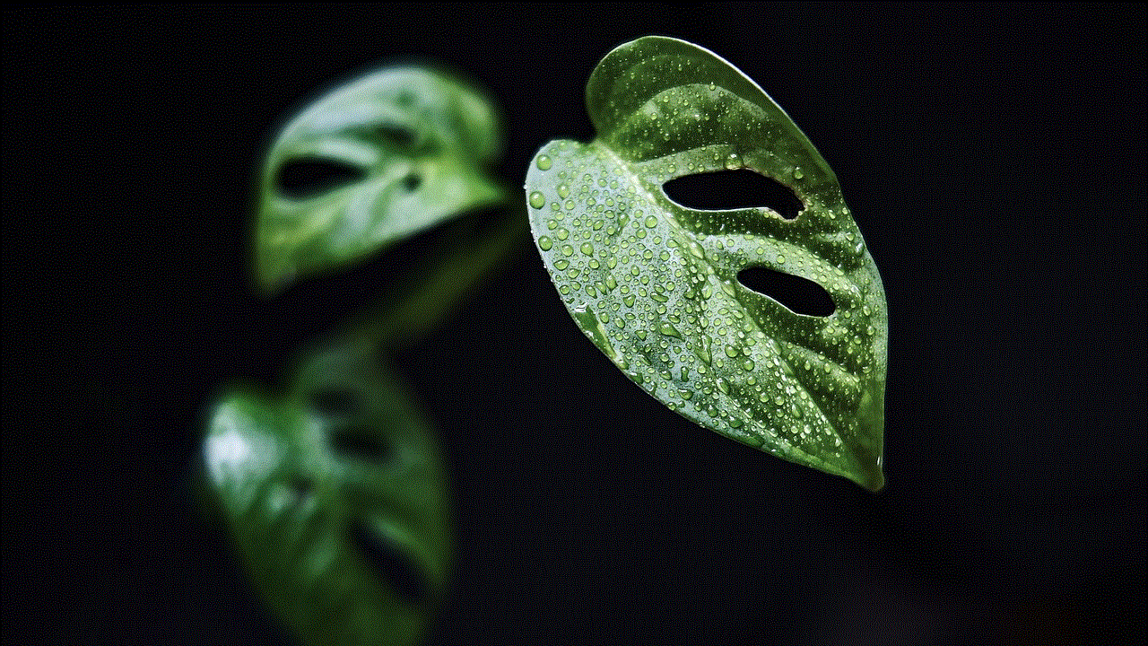 Leaves Plant Leaves Plant