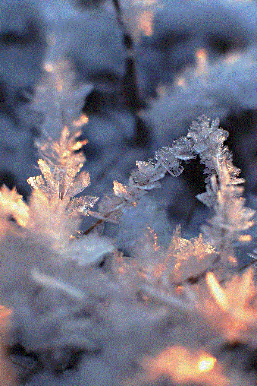 Snow Winter Snow Winter