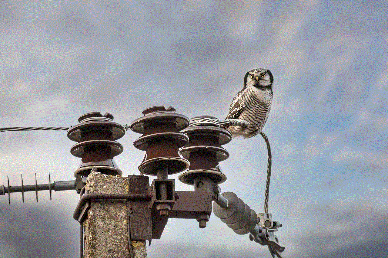 Northern Hawk-Owl Owl