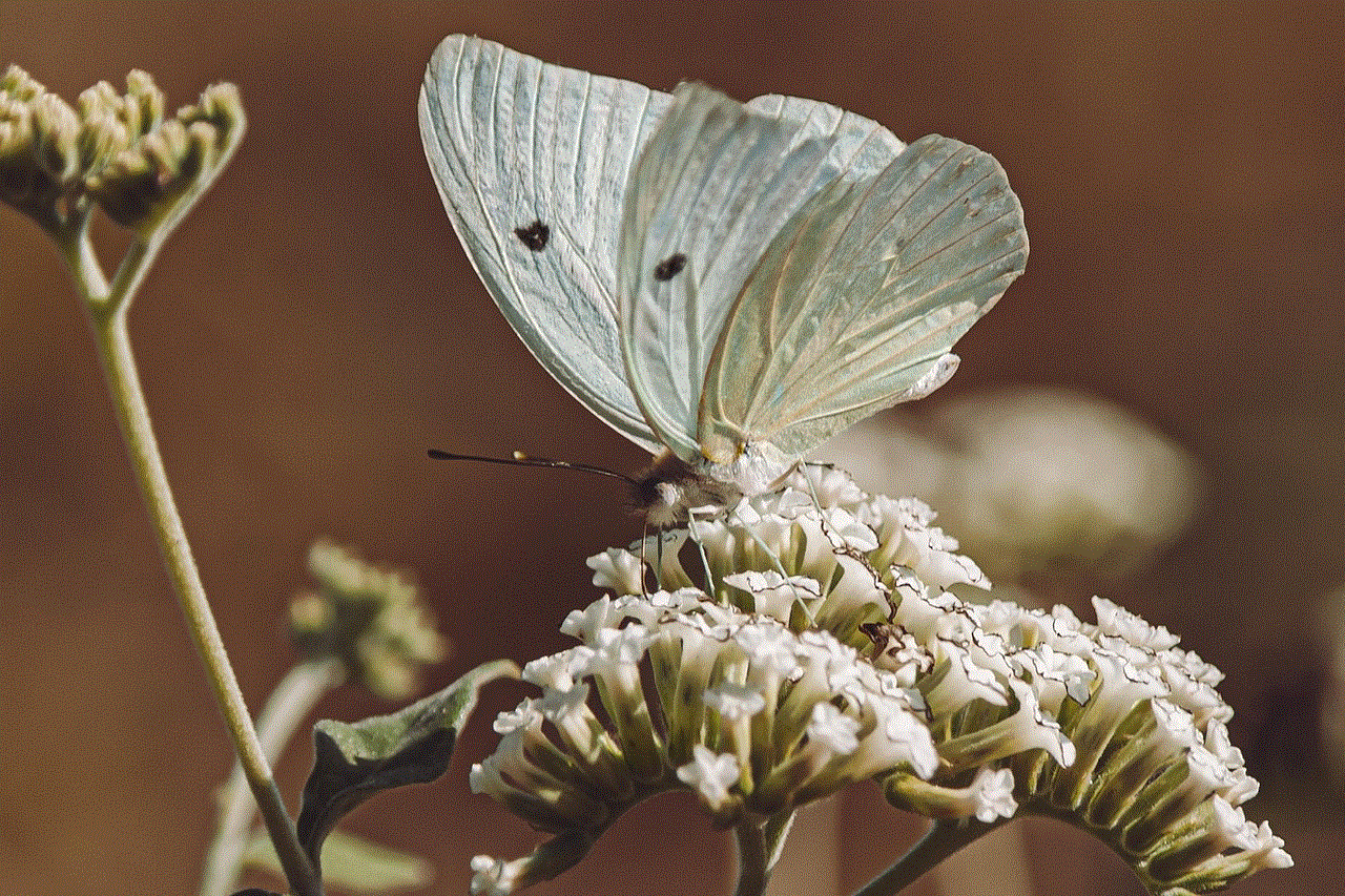 Butterfly Flower