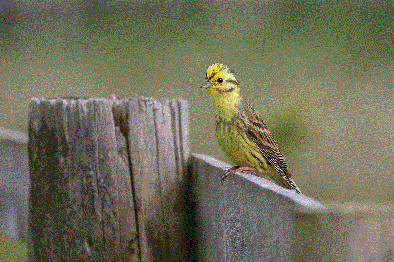 Bird Yellowhammer