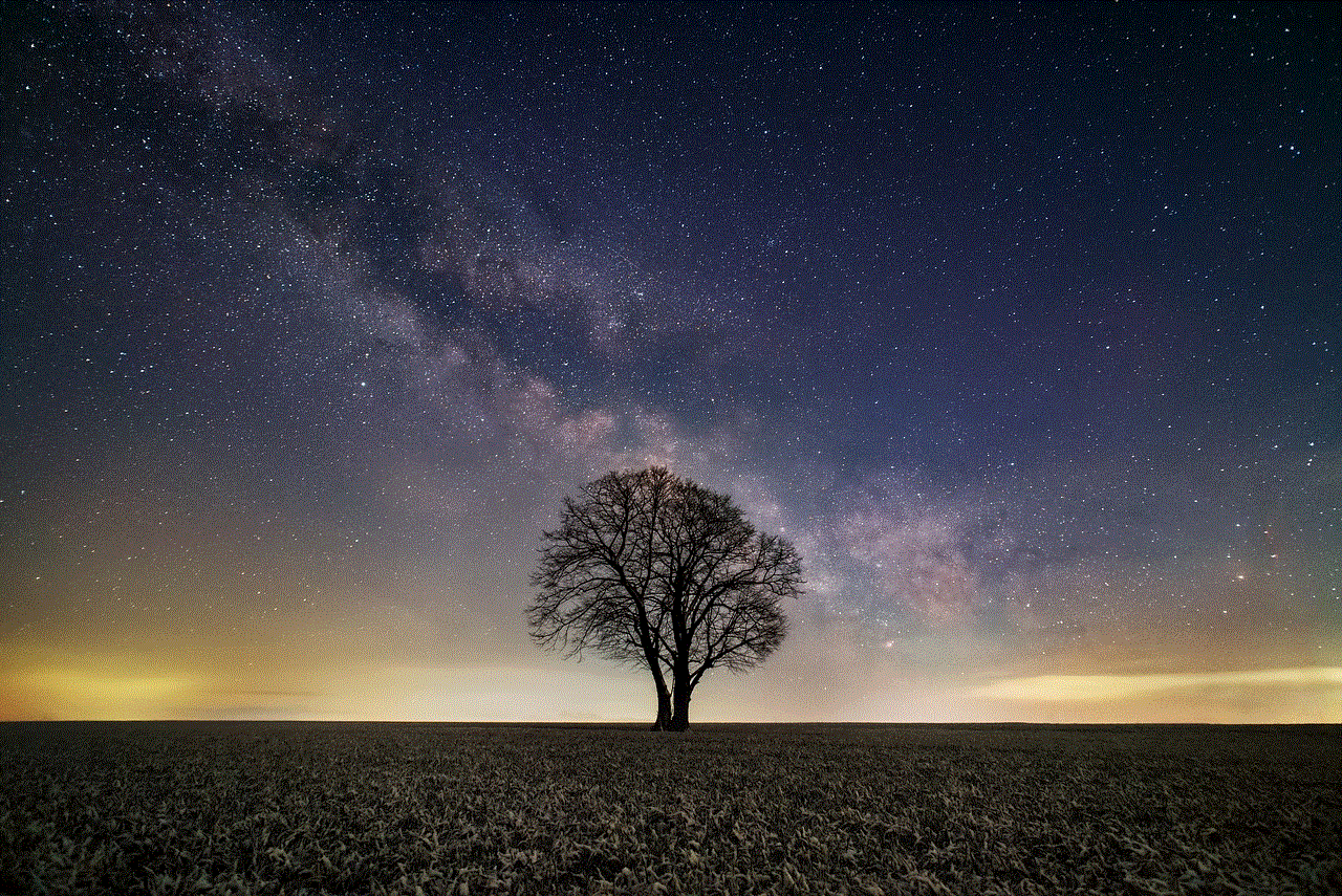 Night Sky Tree