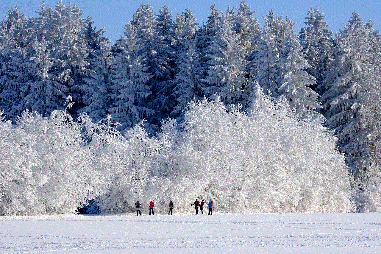 Winter Nature