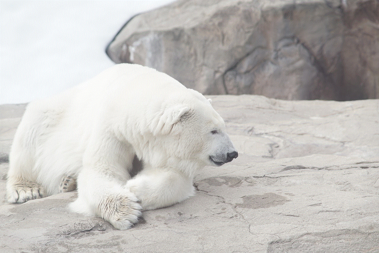 Nature White Bear