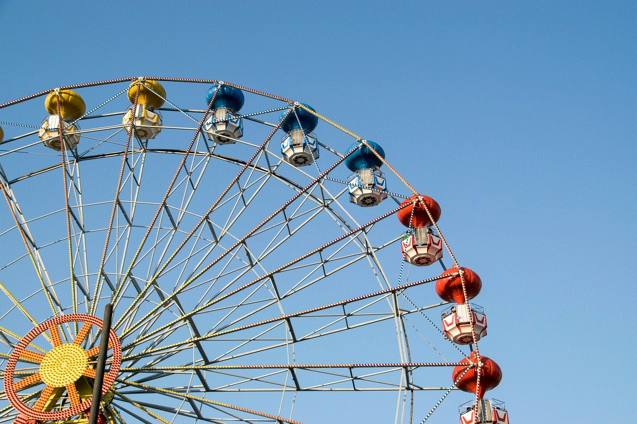 Ferris Wheel Amusement Park