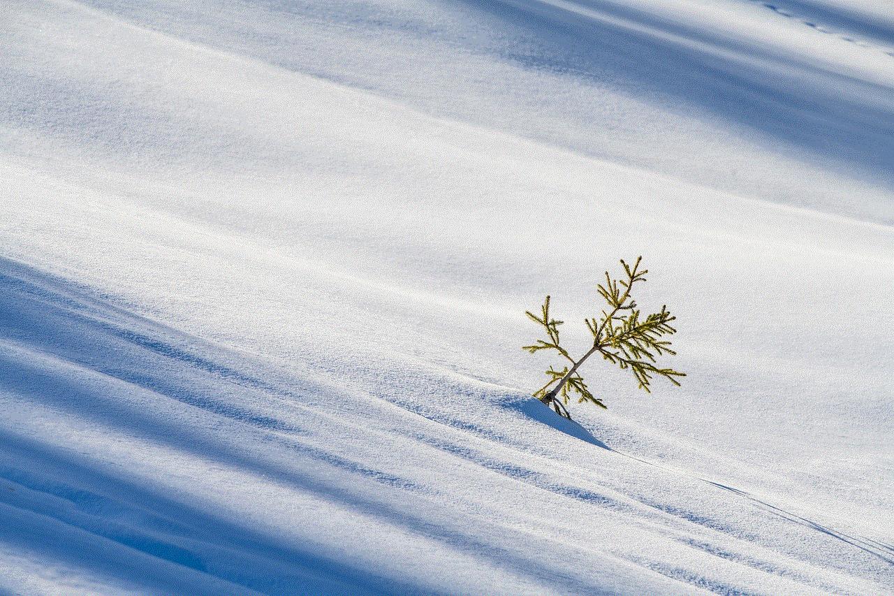 Winter Snow