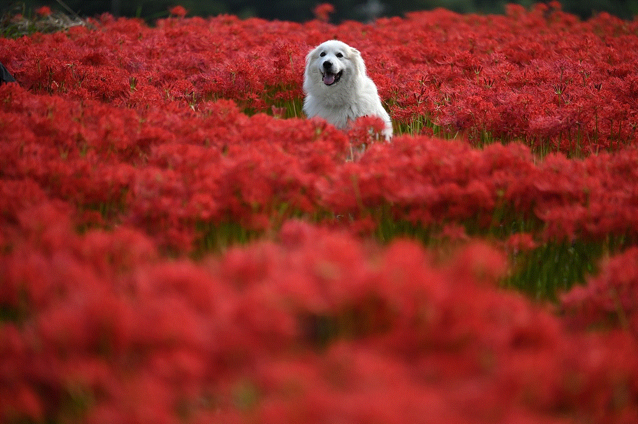 Animal Flower Background