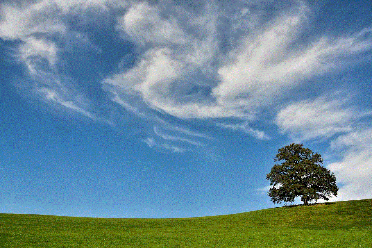 Tree Clouds