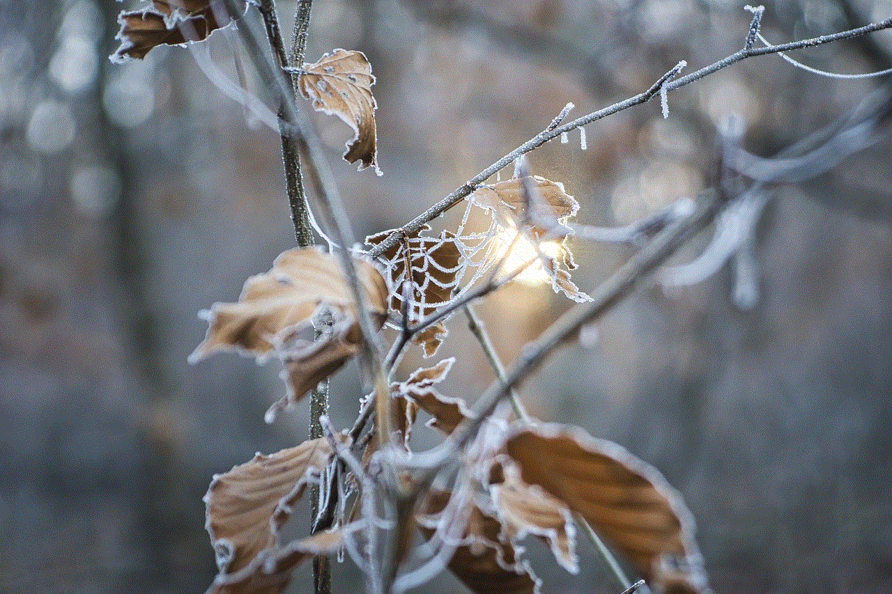 Dried Up Leaves