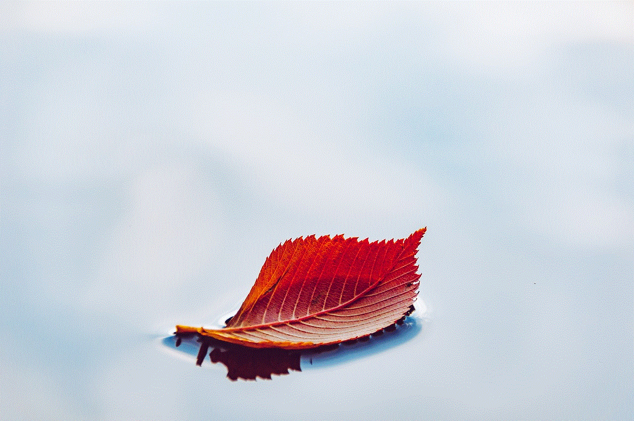 Leaf Nature Leaf Nature