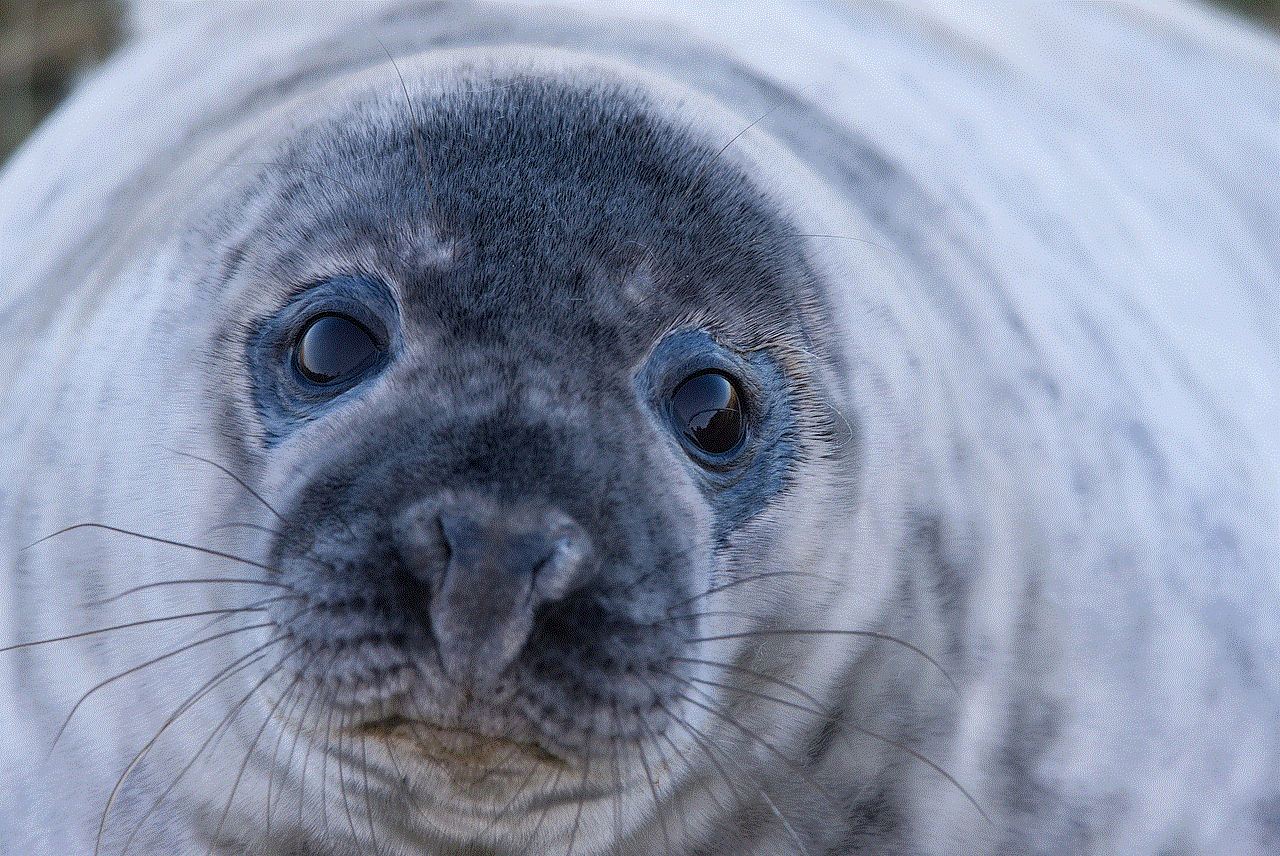 Seal Grey Seal