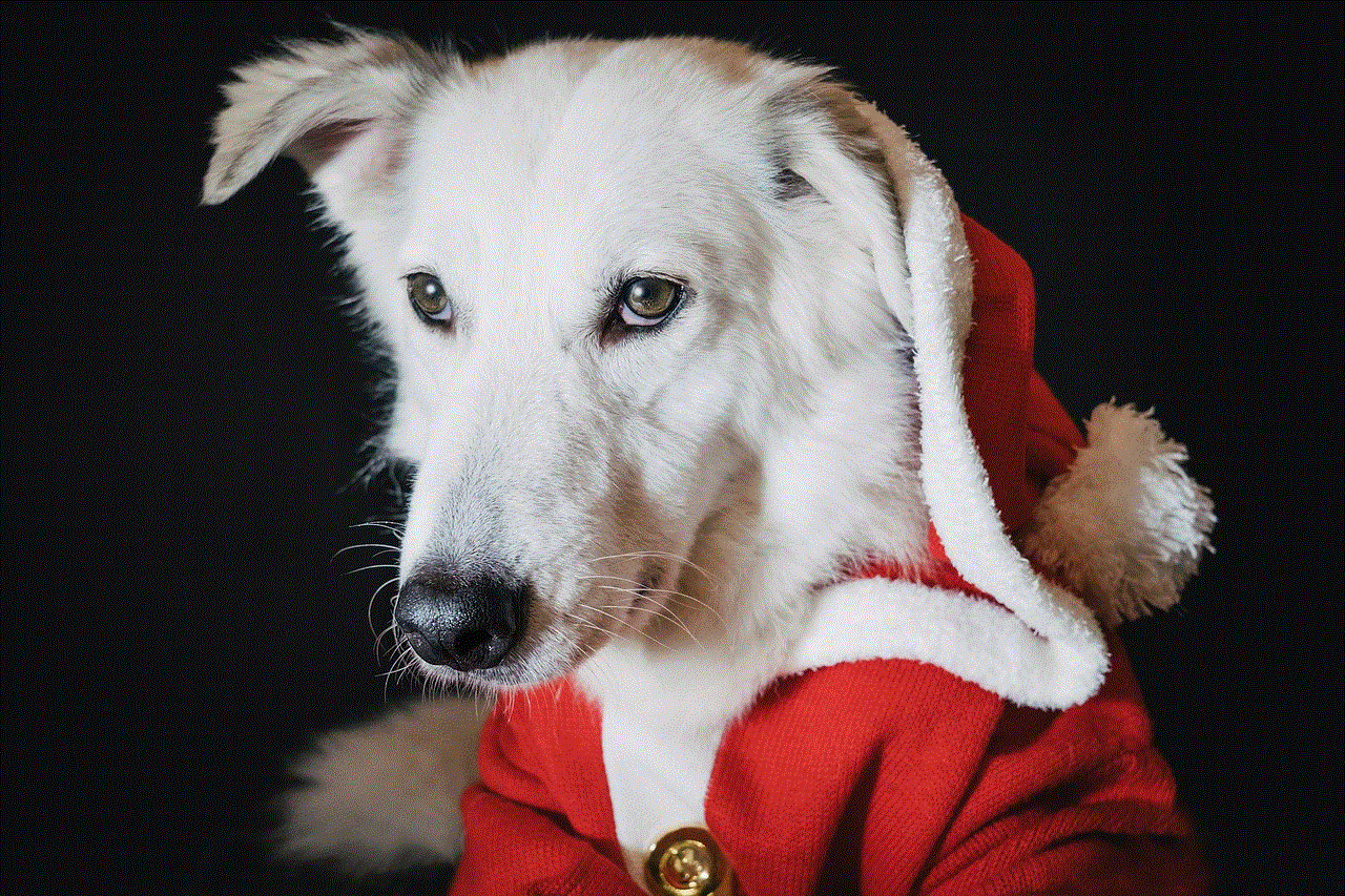 Dog Christmas