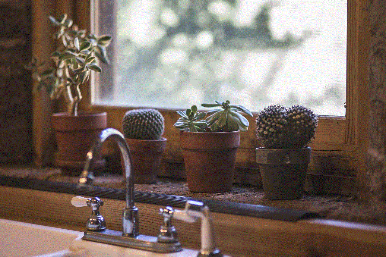 Cactus Kitchen