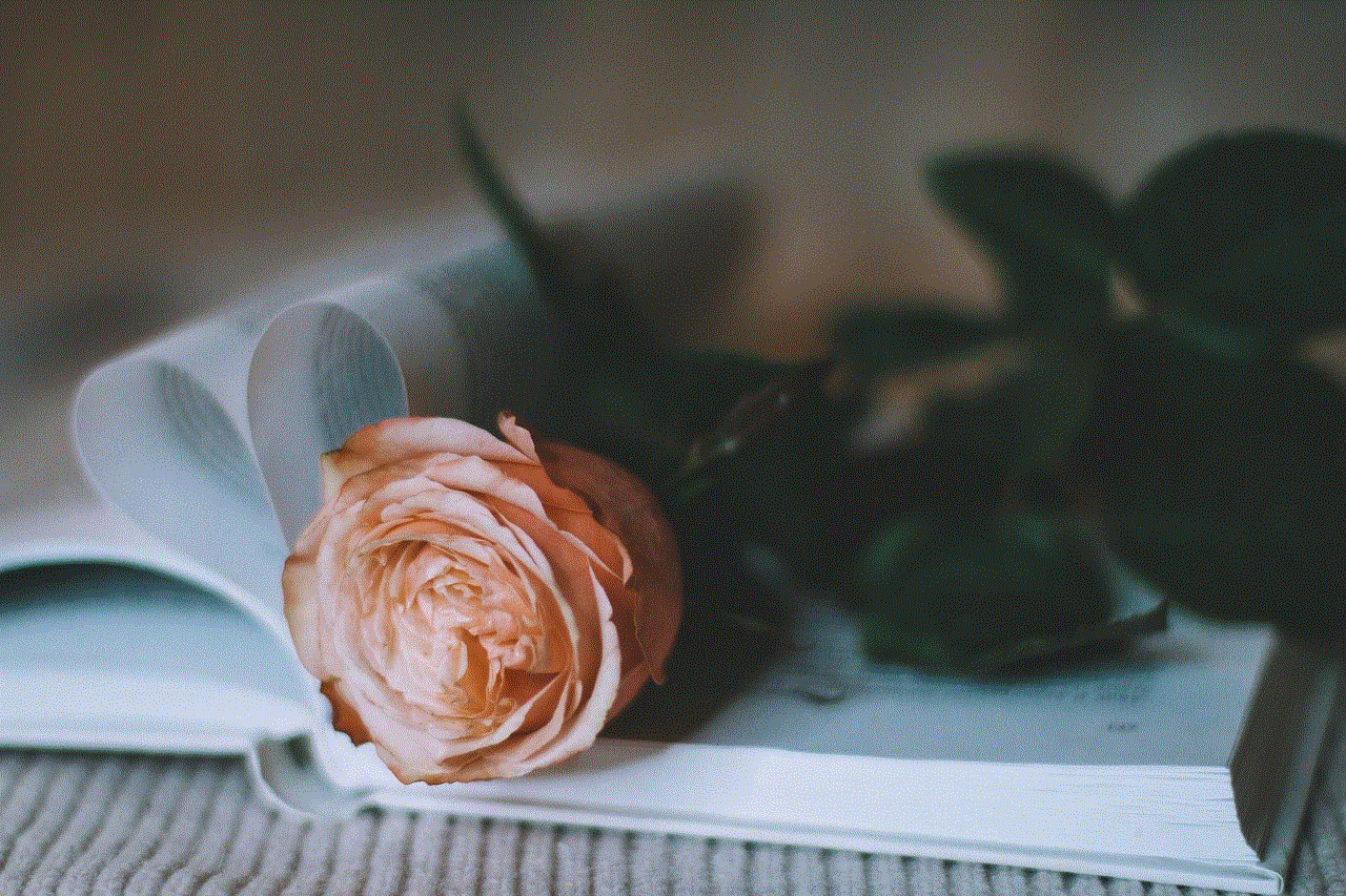 Rose Flower