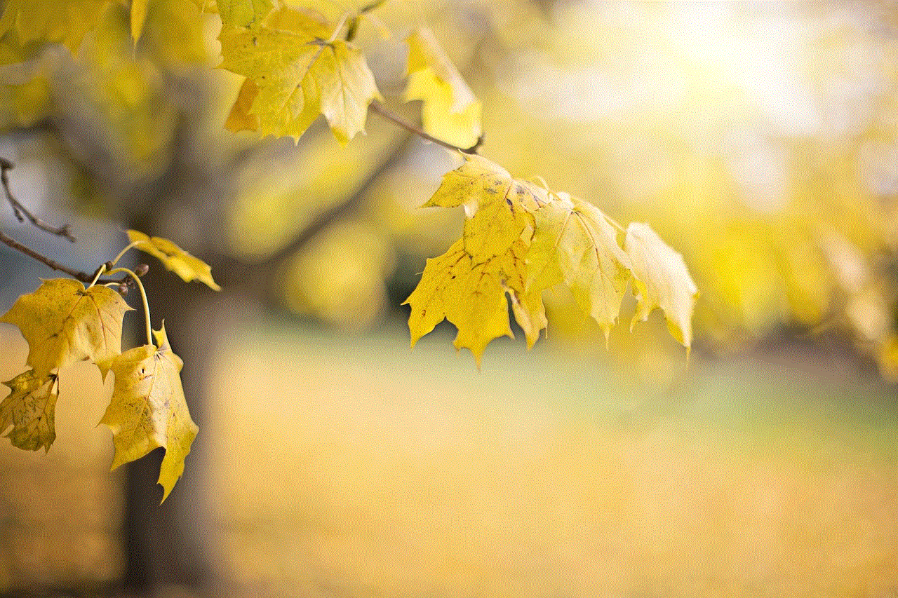 Tree Leaves