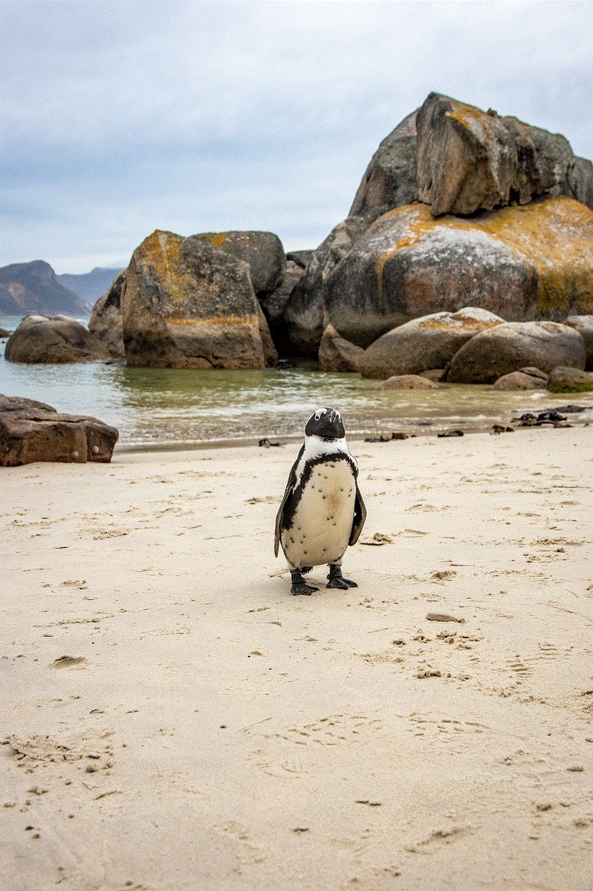 Cape Town Boulder Beach