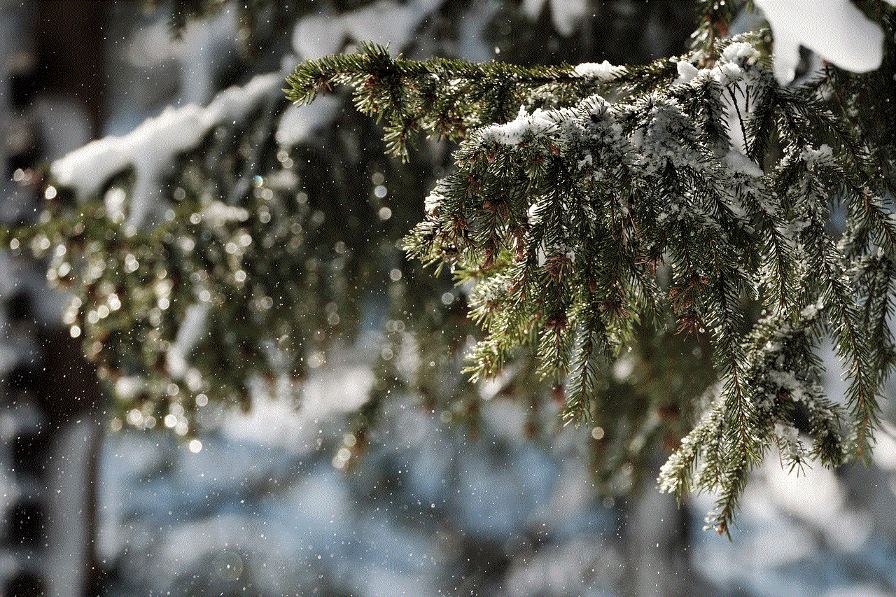 Snow Forest