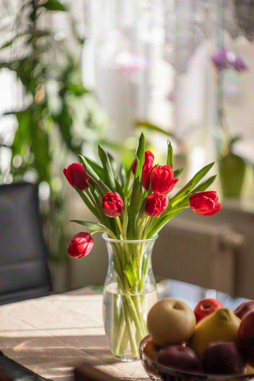 Tulips Red Flowers
