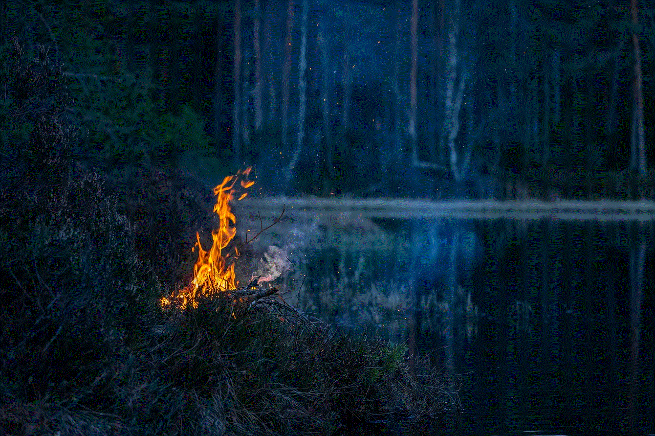 Fireplace Campfire