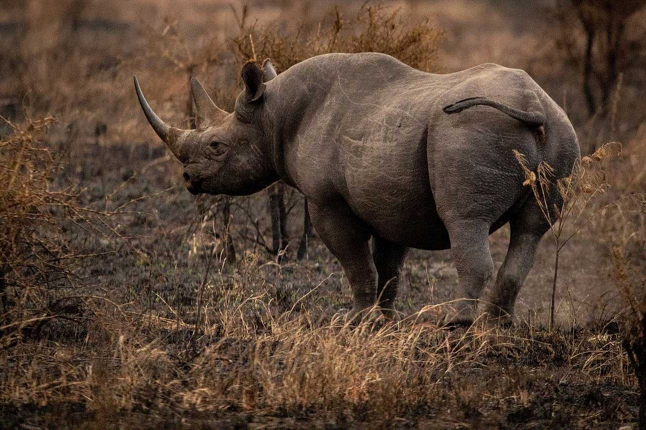 Rhinoceros Rhino