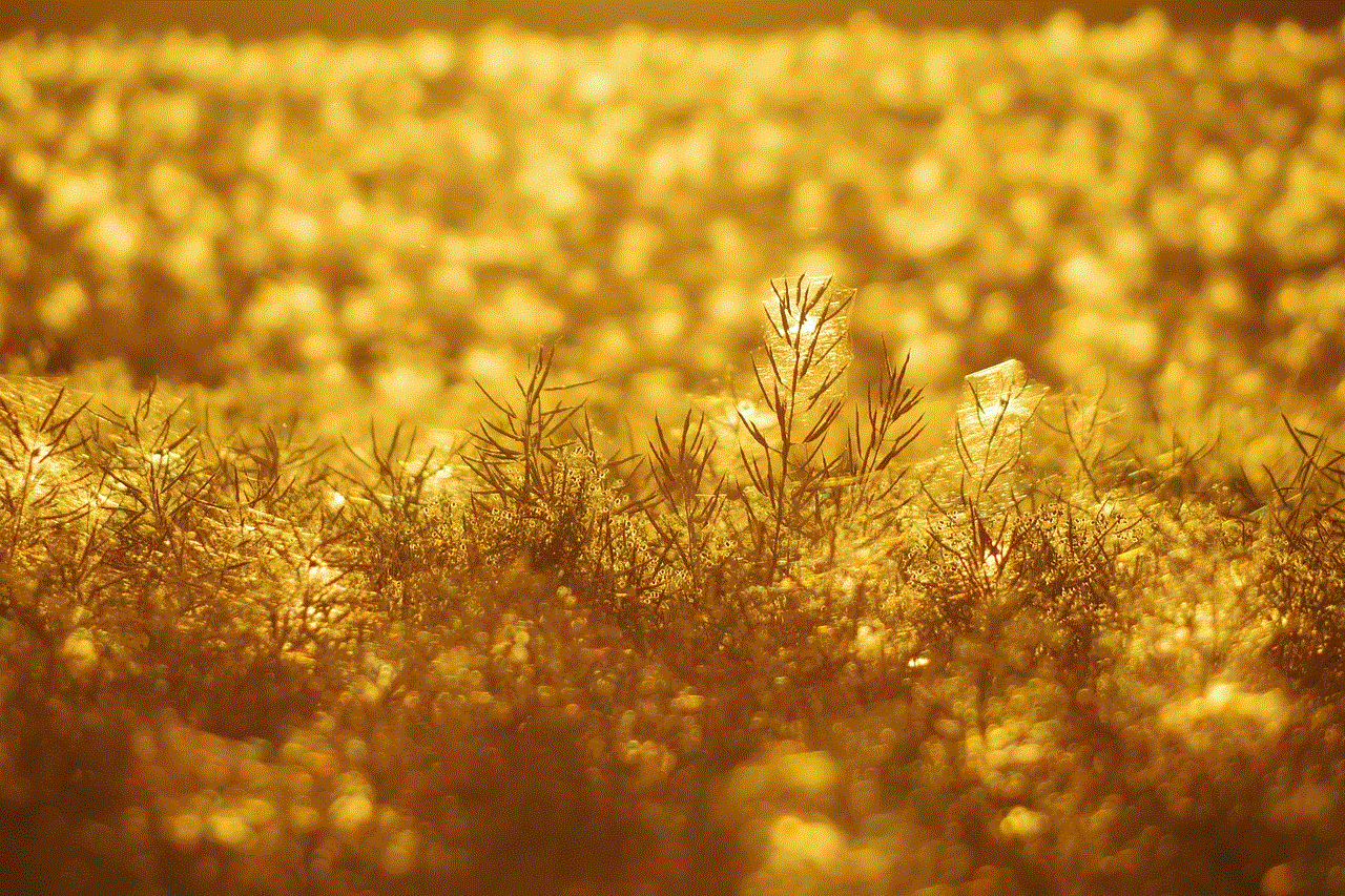 Meadow Plant