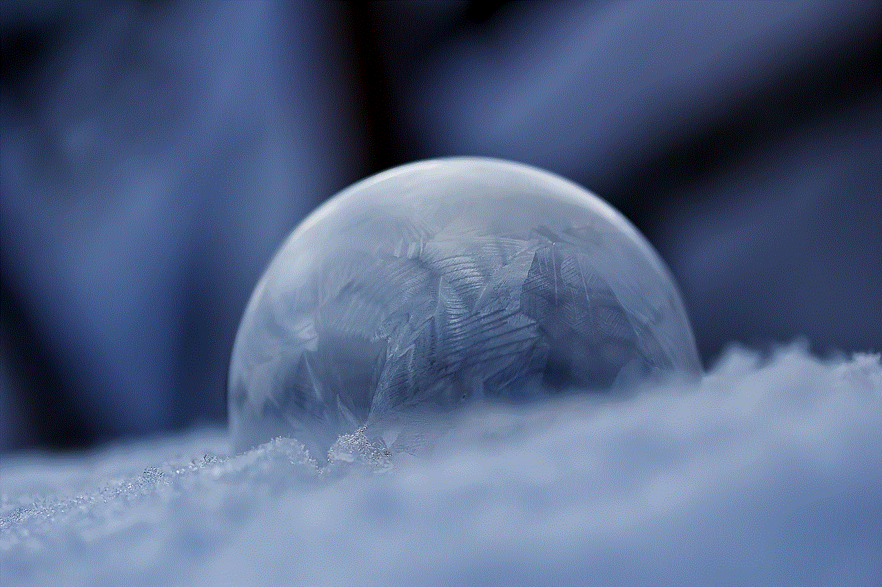 Soap Bubble Frozen