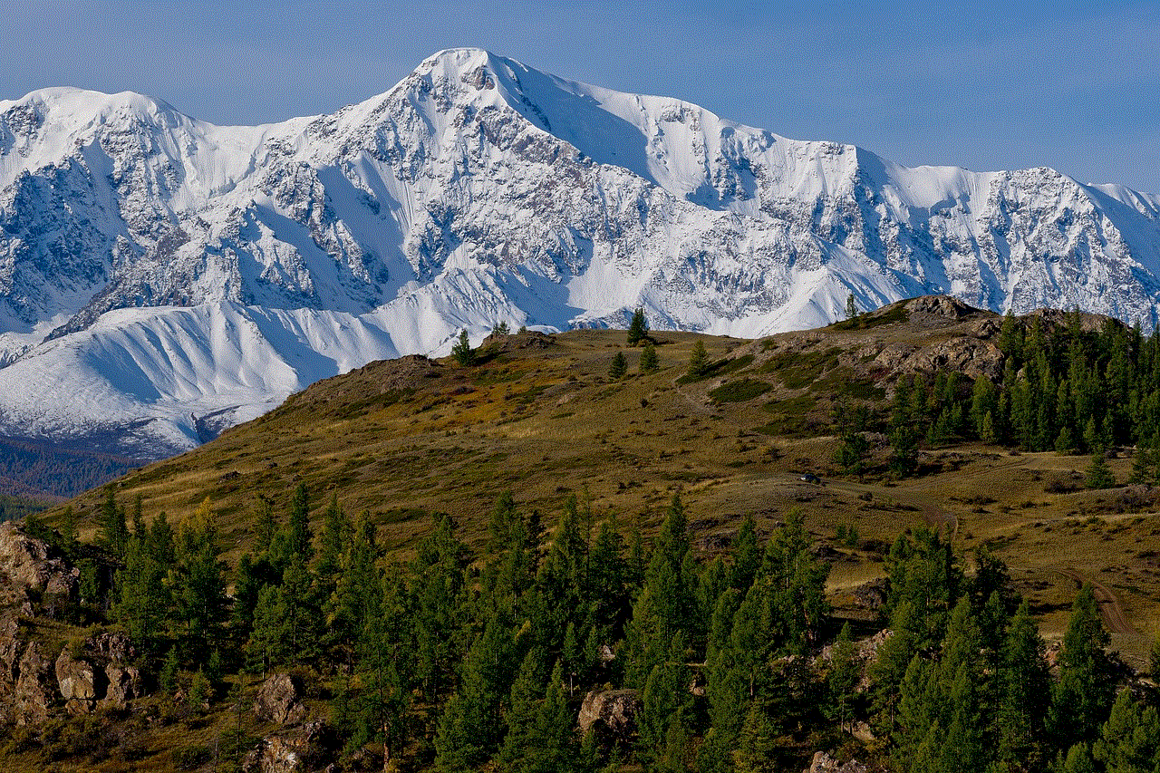 Mountains Trees