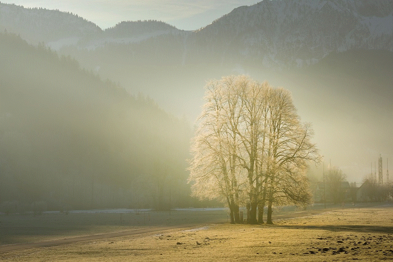 Mountains Fog