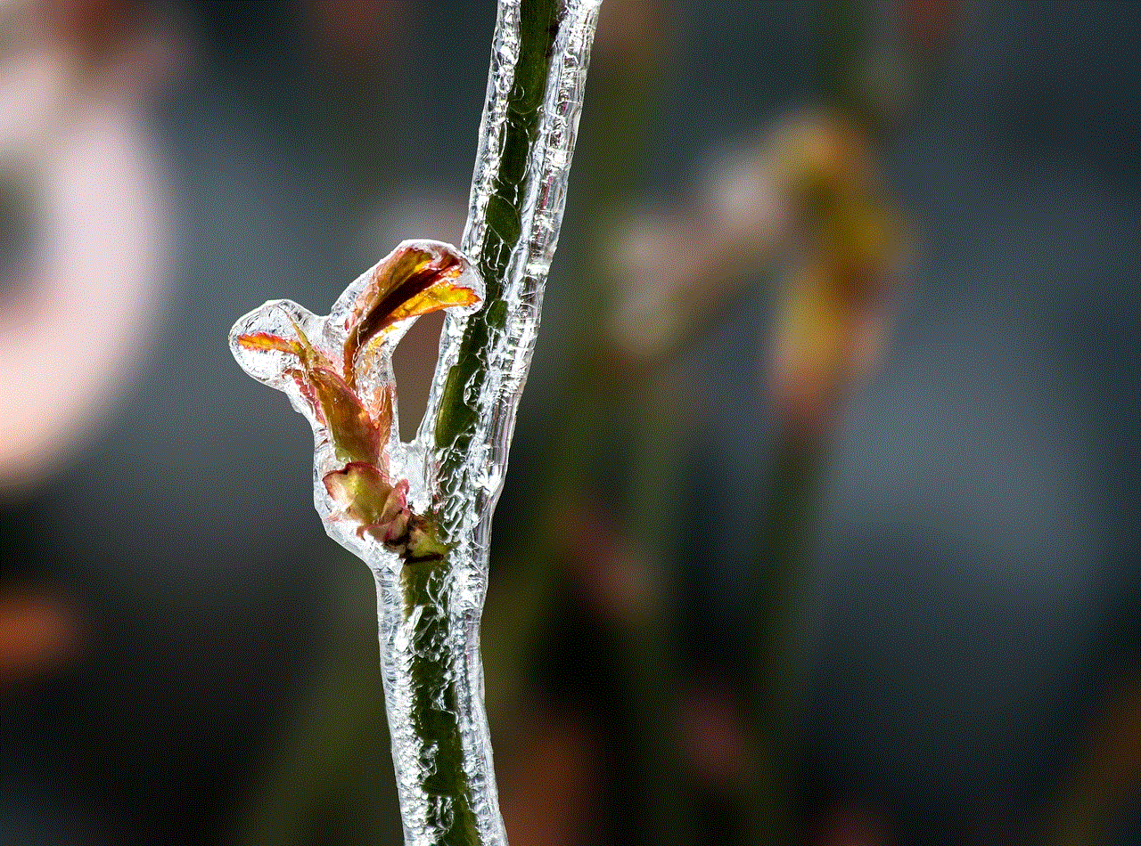 Rose Stem Frost