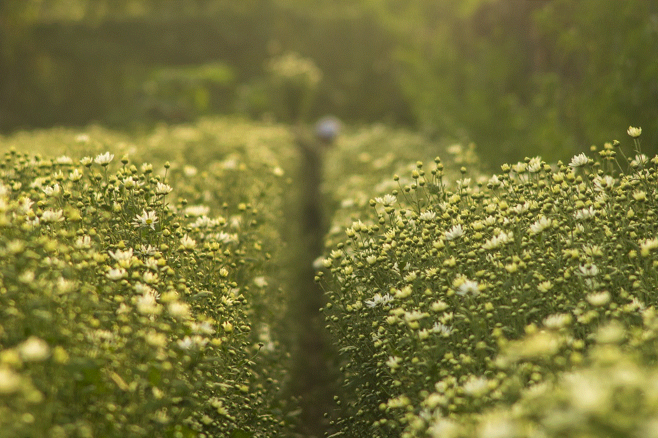 Flowers Bloom Flowers Bloom