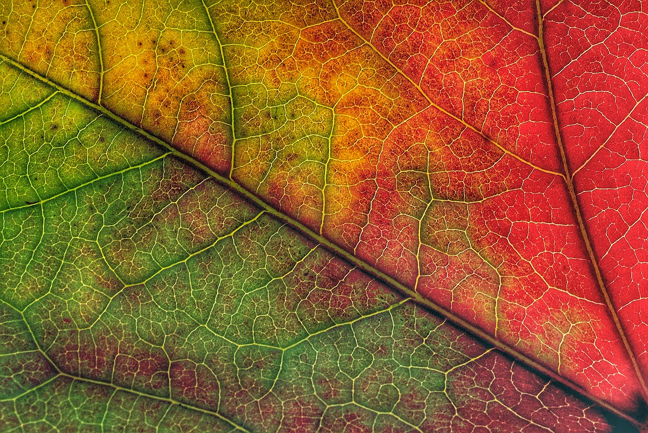 Leaf Autumn