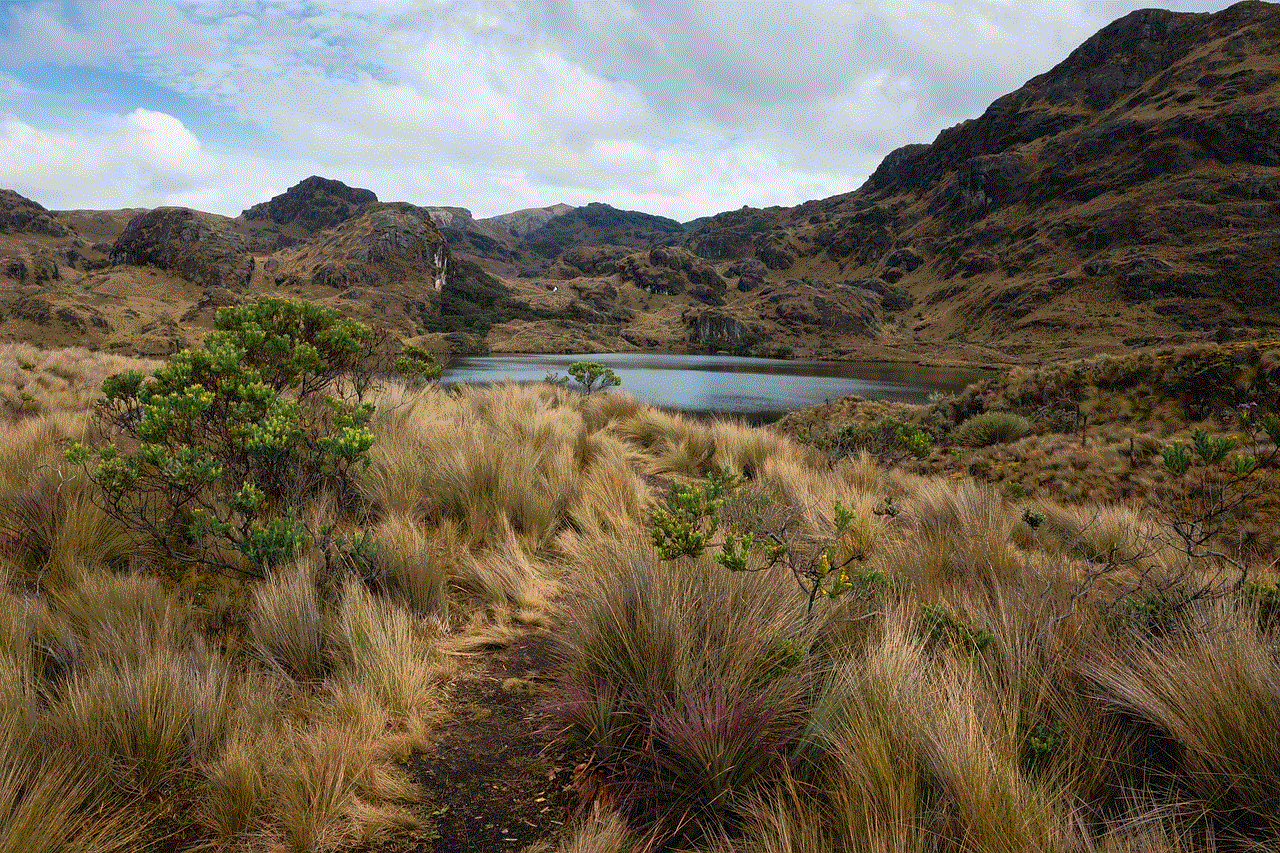 Lake Wetland